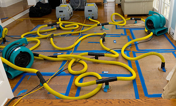 Professional Crawl Space Water Removal technician working in Mabel, MN